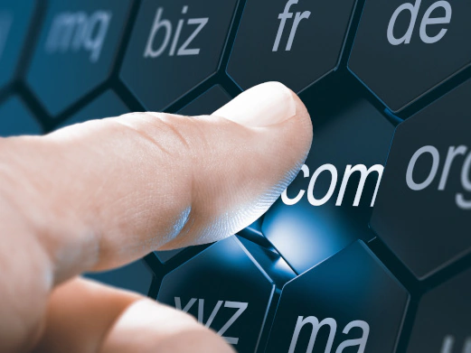 Domain name security and management